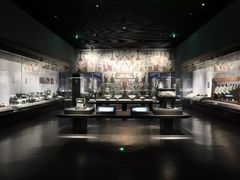 -陕西自然博物馆