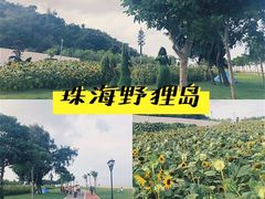 -野狸岛