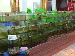 水产区-四海鲜渔家菜(黄金海岸店)