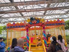 -南宫五洲植物乐园