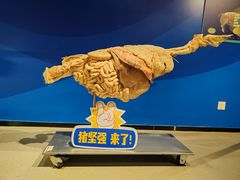 -生命奥秘博物馆