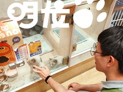 -屋虎猫馆(宝安大仟里店)