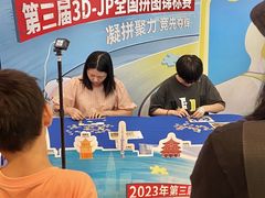-3D -JP拼图(深圳中心书城店)
