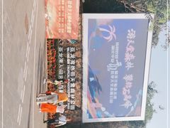-亚龙湾热带天堂森林公园