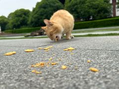 -狼山风景名胜区