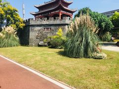 -武汉园博园(武汉自然博物馆)
