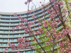 -天津海河悦榕庄·Lobby Lounge大堂吧