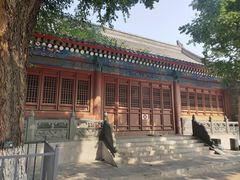 -法兴寺
