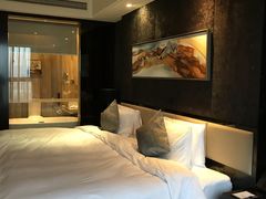 -常州环球恐龙城维景国际大酒店