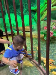 -酷嗒动物文化乐园(cutezoo西溪乐天城店)