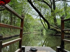 -西溪国家湿地公园