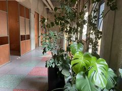 -仁义涵西餐·咖啡(中华巴洛克店)