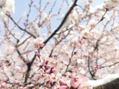 -朝阳公园游乐园