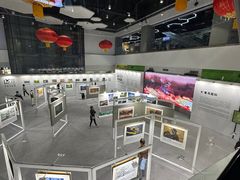 -中国宋庆龄青少年科技文化交流中心