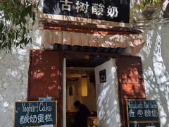 -古树酸奶(八廓南街店)