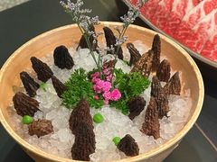 -季季山·云南野生菌火锅(上海首店)