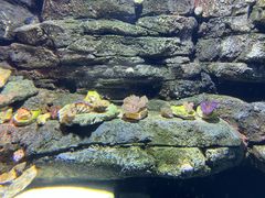 -沈阳海洋探索中心