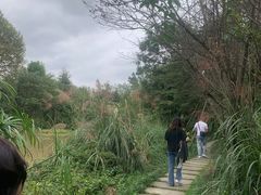 -桤木河湿地公园