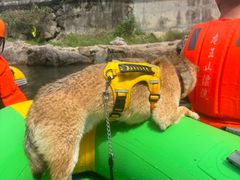 -安吉龙王山峡谷漂流