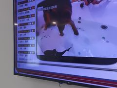 -北京观赏动物医院·24小时大型综合·猫专科·异宠专科