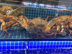 -大东海海鲜酒楼(渔人码头总店)