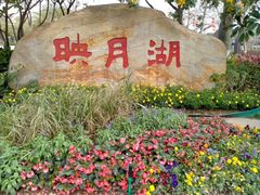 -映月湖公园