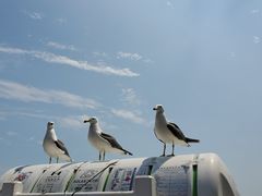 -海驴岛(荣成市)