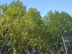 -长春公园(普阳街道)