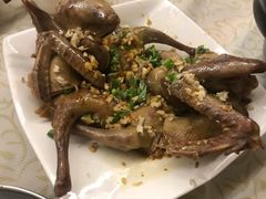 -百利鸽王(紫薇路店)