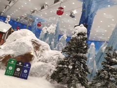 -长沙湘江冰雪世界