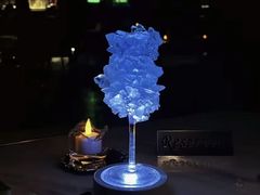 -STARRY CAFE & LOUNGE BAR(高新店)