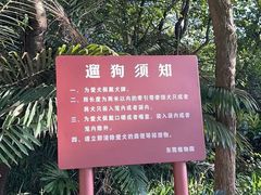 -东莞植物园