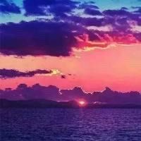 -薇兰专业脱毛连锁机构