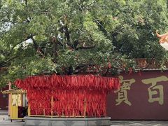 -广州莲花山旅游区
