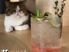 -瞄一喵猫咖(格力海岸店)