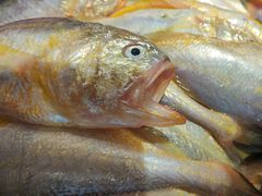 -合家小菜餐馆(新诚花苑店)