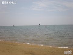 -碧海金沙