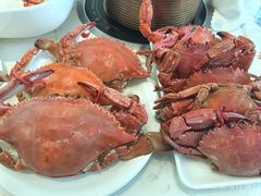 -半岛听涛蒸汽海鲜自助(K11店)