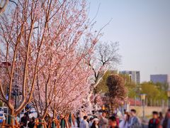 -武汉长江大桥