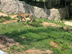 -西霞口神雕山野生动物世界