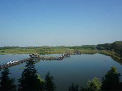 -溱湖国家湿地公园