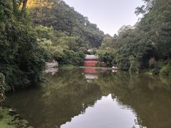 -黔灵山公园
