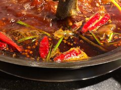 鲜鱼肚-较场口火锅(九街店)