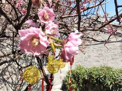 -李叔同故居纪念馆