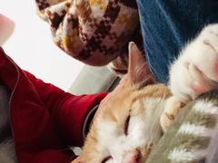 -圣宠动物医院·犬猫专科·影像中心·外科中心