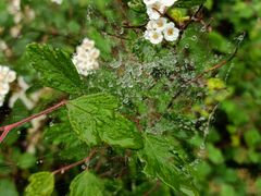 -大觉寺-停车场