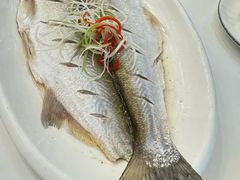 -蟹天蟹地农家菜·阳澄湖大闸蟹(浅水湾店)