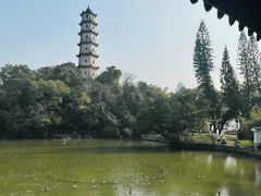 -江心屿景区