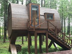 -黄海国家森林公园