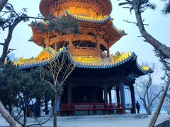 -迎泽公园